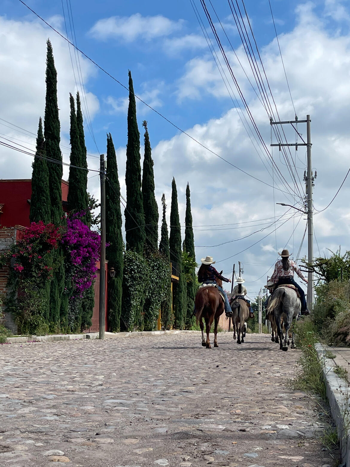 Urban Cowgirls Urban Cowgirls