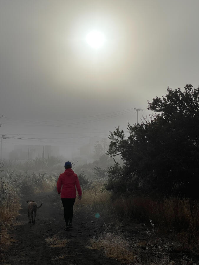 Misty Walk Misty Walk